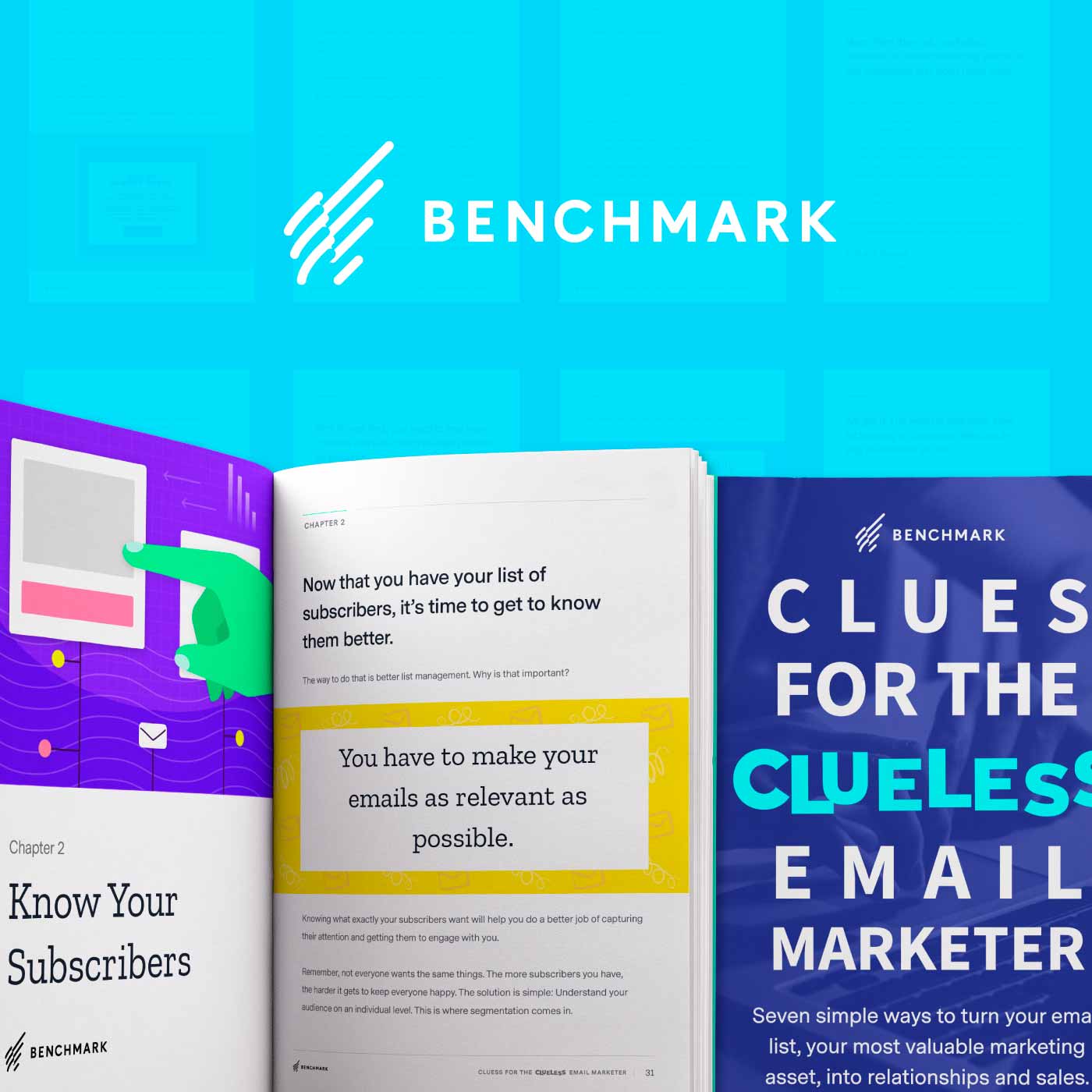 We Wrote a Book! Clues for the Clueless Email Marketer